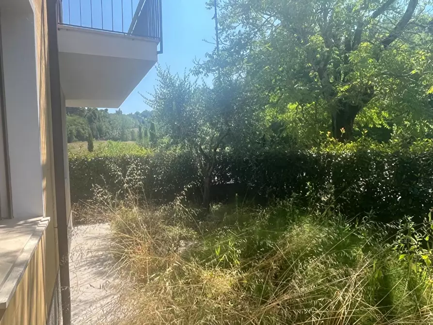 Immagine 4 di Casa semindipendente in vendita  a Palaia