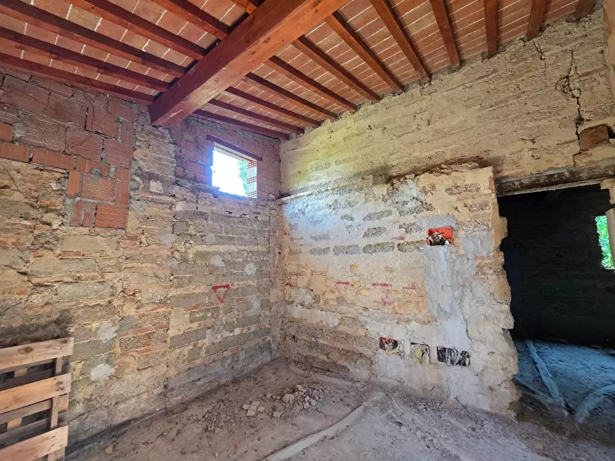 Immagine 25 di Terratetto in vendita  a Casciana Terme Lari