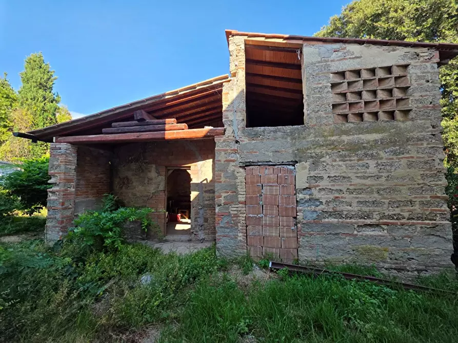 Immagine 23 di Terratetto in vendita  a Casciana Terme Lari