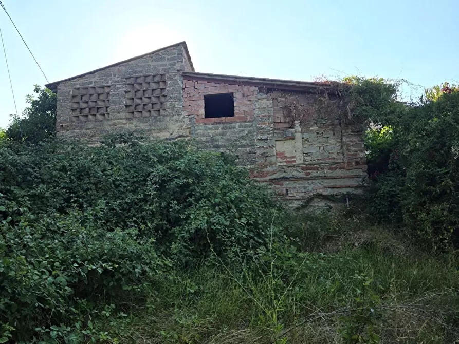Immagine 21 di Terratetto in vendita  a Casciana Terme Lari