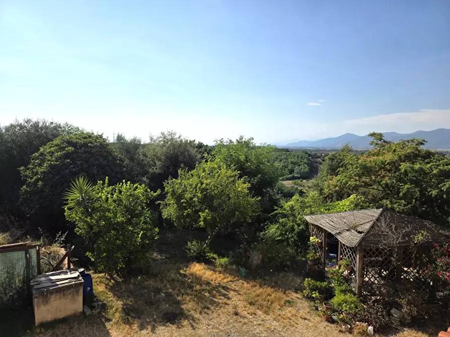 Immagine 19 di Terratetto in vendita  a Casciana Terme Lari