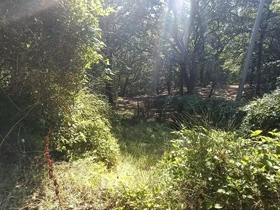 Immagine 42 di Casa colonica in vendita  a Gambassi Terme