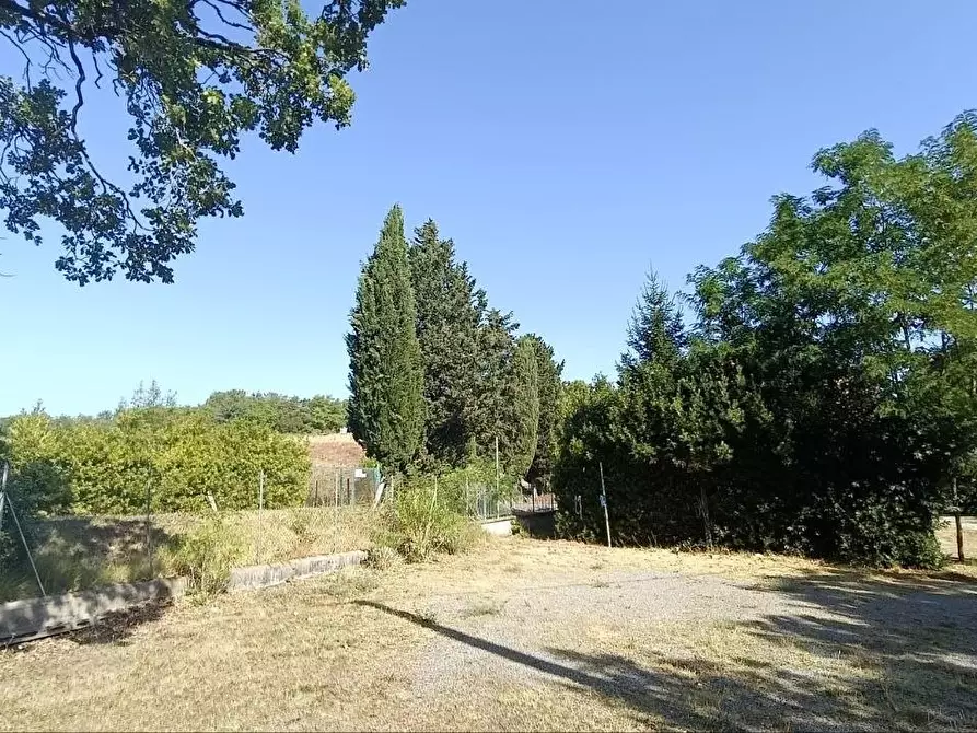 Immagine 40 di Casa colonica in vendita  a Gambassi Terme