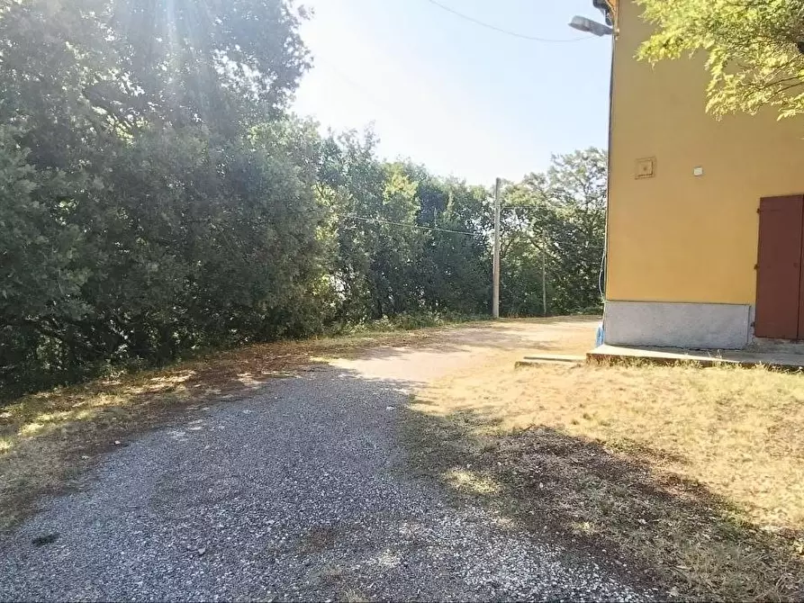 Immagine 2 di Casa colonica in vendita  a Gambassi Terme