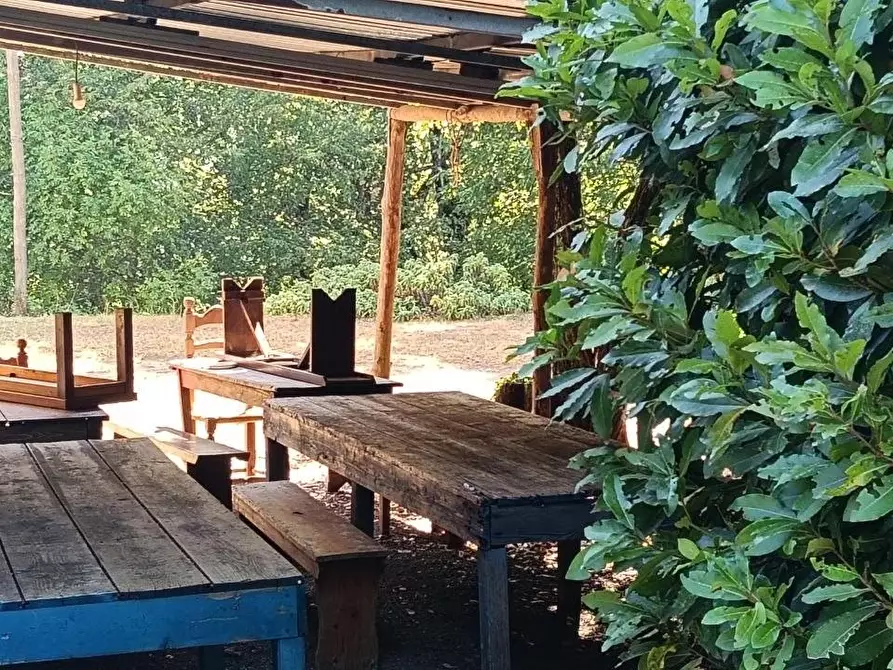 Immagine 4 di Casa colonica in vendita  a Gambassi Terme