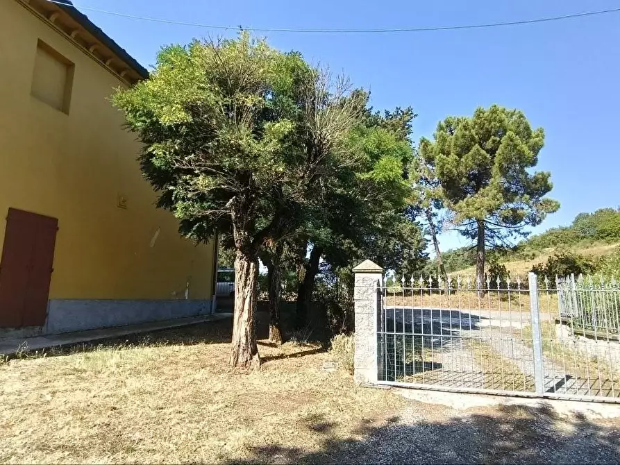 Immagine 34 di Casa colonica in vendita  a Gambassi Terme