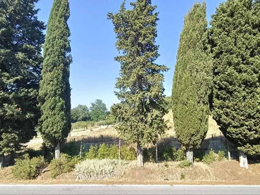 Immagine 33 di Casa colonica in vendita  a Gambassi Terme