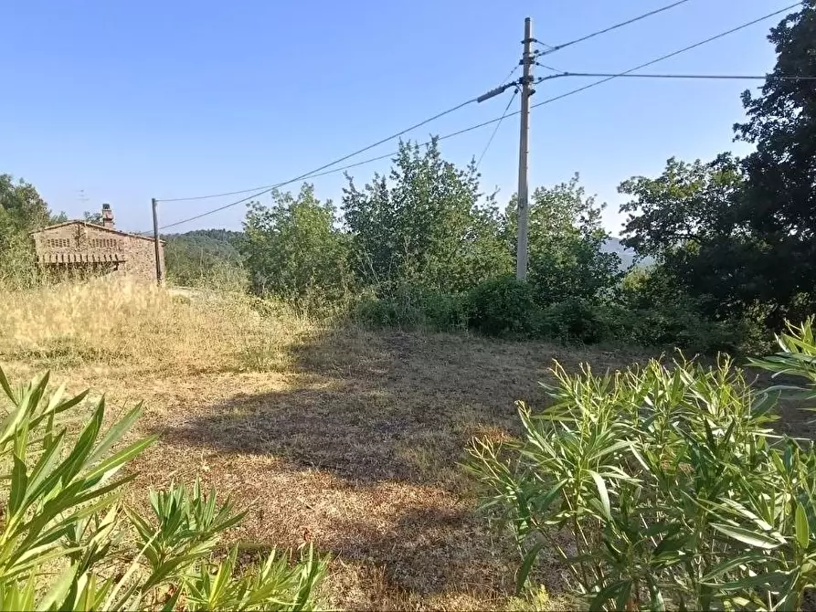 Immagine 30 di Casa colonica in vendita  a Gambassi Terme
