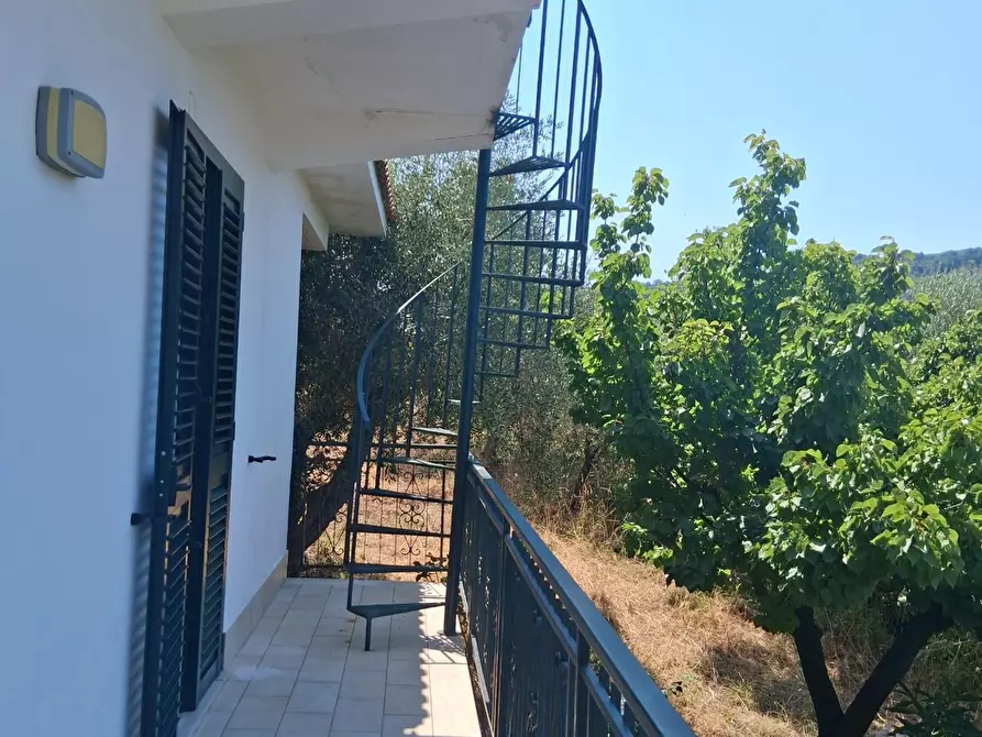Immagine 109 di Villa in vendita  a Castellabate