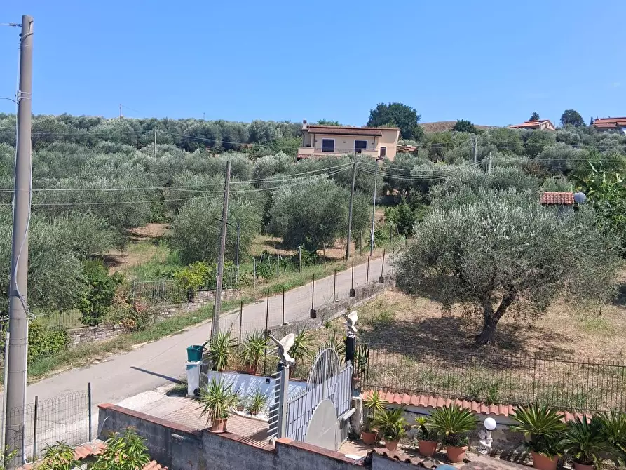 Immagine 44 di Villa in vendita  a Castellabate