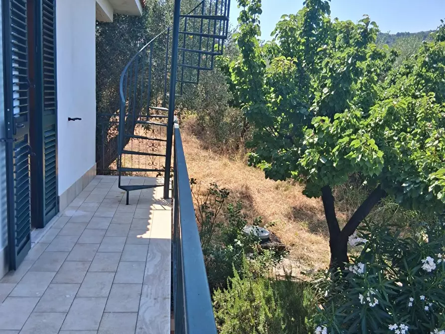 Immagine 112 di Villa in vendita  a Castellabate