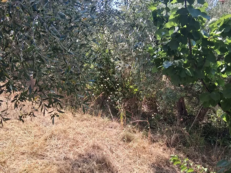 Immagine 101 di Villa in vendita  a Castellabate