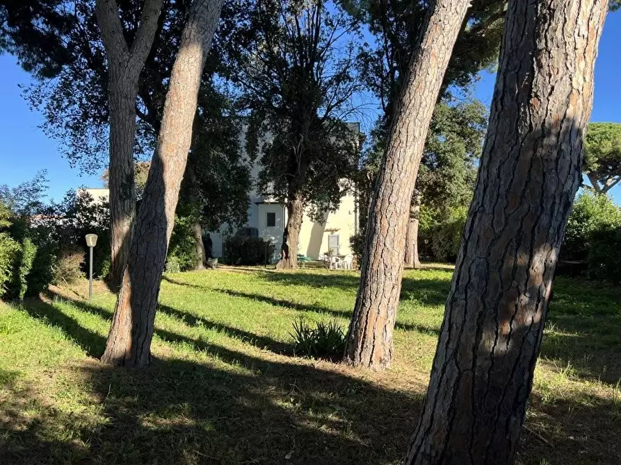 Immagine 11 di Immobile di prestigio in vendita  a Cecina