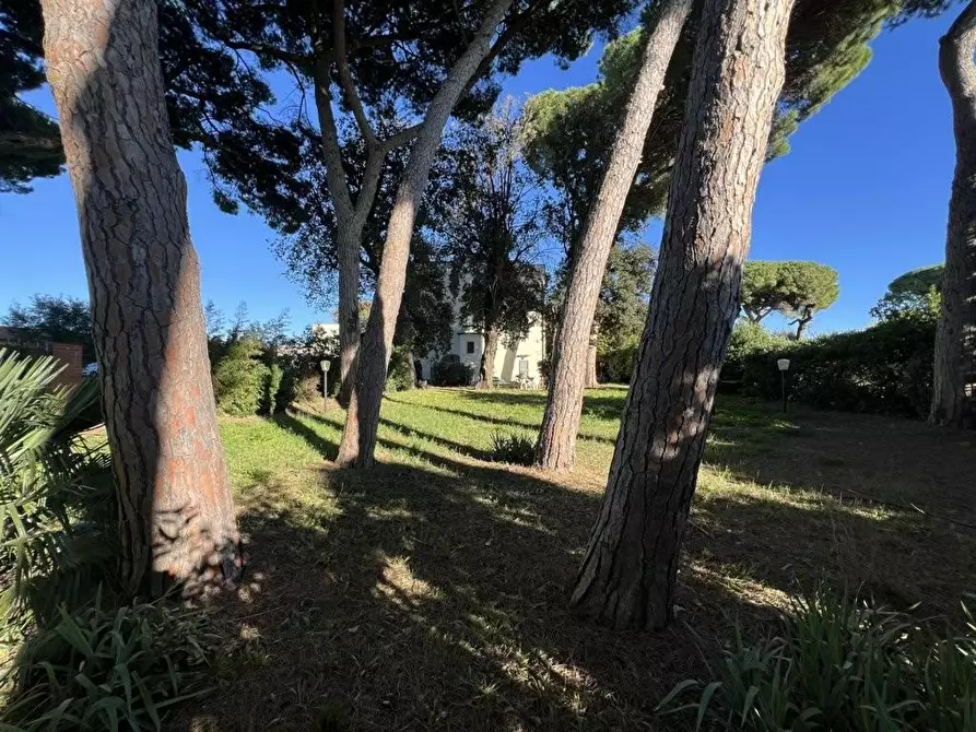 Immagine 10 di Immobile di prestigio in vendita  a Cecina