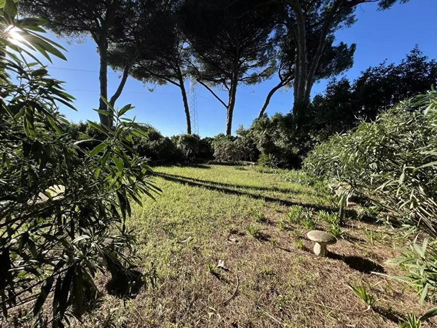 Immagine 12 di Immobile di prestigio in vendita  a Cecina