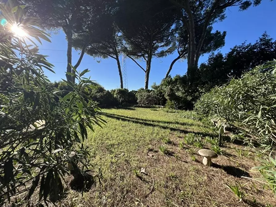 Immagine 13 di Immobile di prestigio in vendita  a Cecina