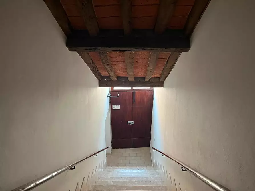 Immagine 18 di Appartamento in vendita  a Terricciola