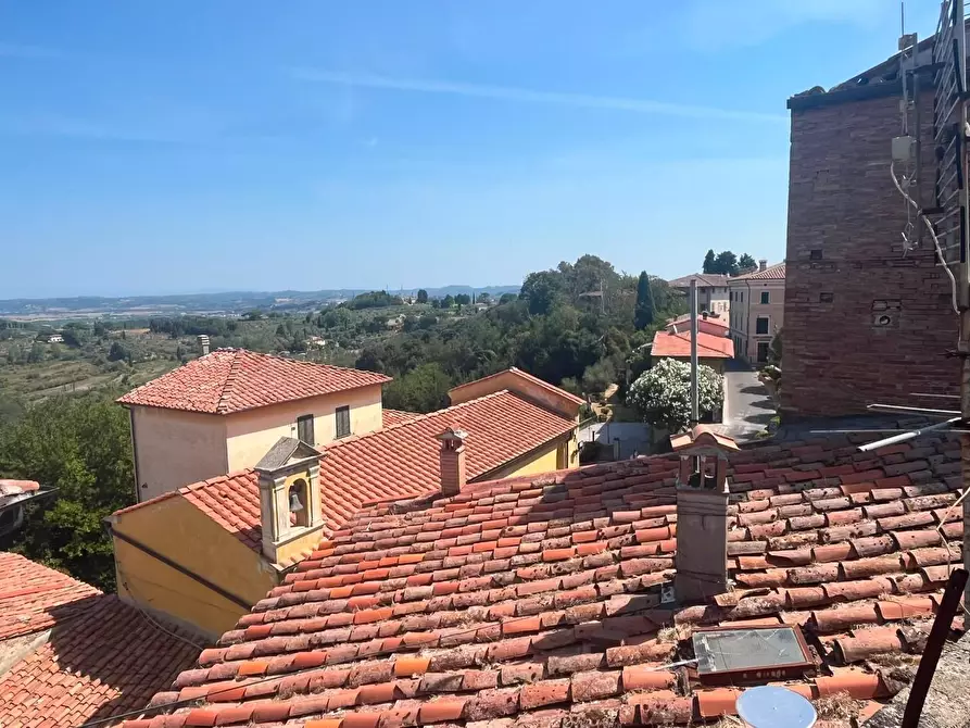 Immagine 13 di Appartamento in vendita  a Terricciola