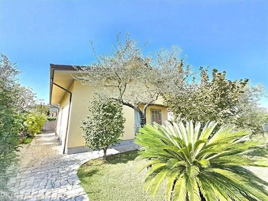 Immagine 19 di Casa indipendente in vendita  a Massa