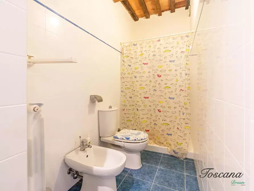 Immagine 54 di Villa in vendita  a Castelnuovo Val Di Cecina