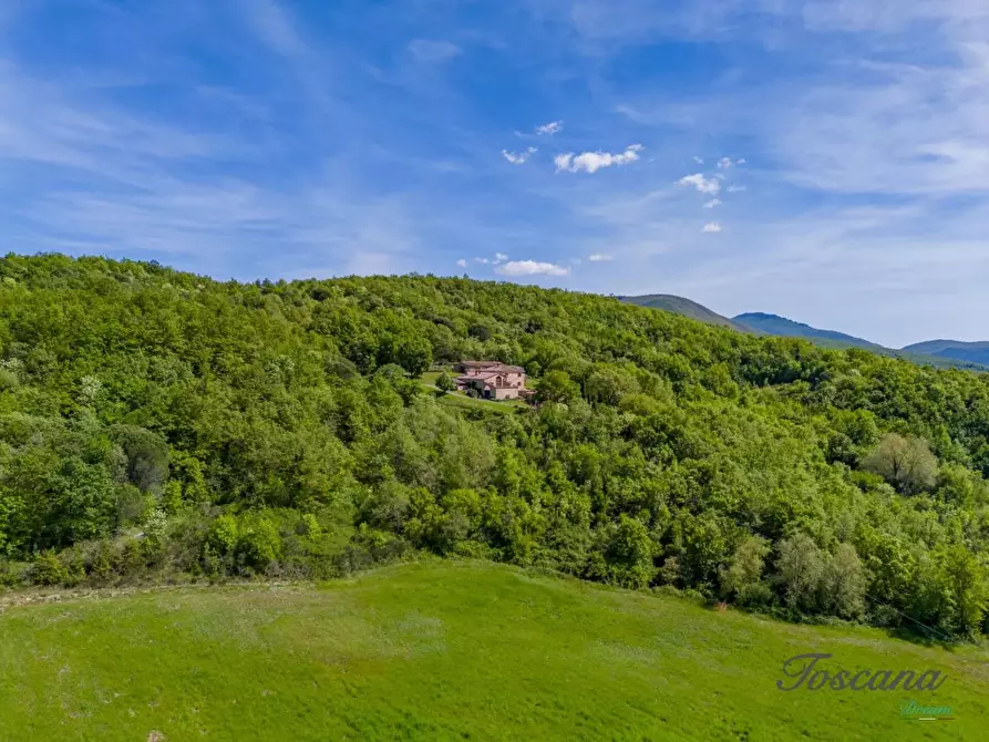 Immagine 9 di Villa in vendita  a Castelnuovo Val Di Cecina