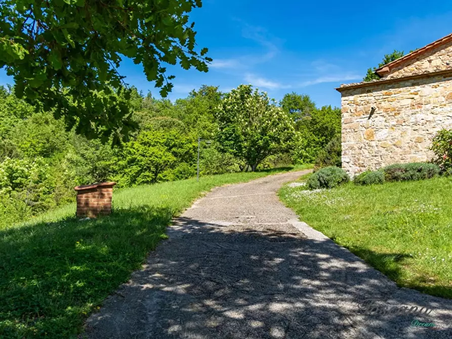 Immagine 75 di Villa in vendita  a Castelnuovo Val Di Cecina