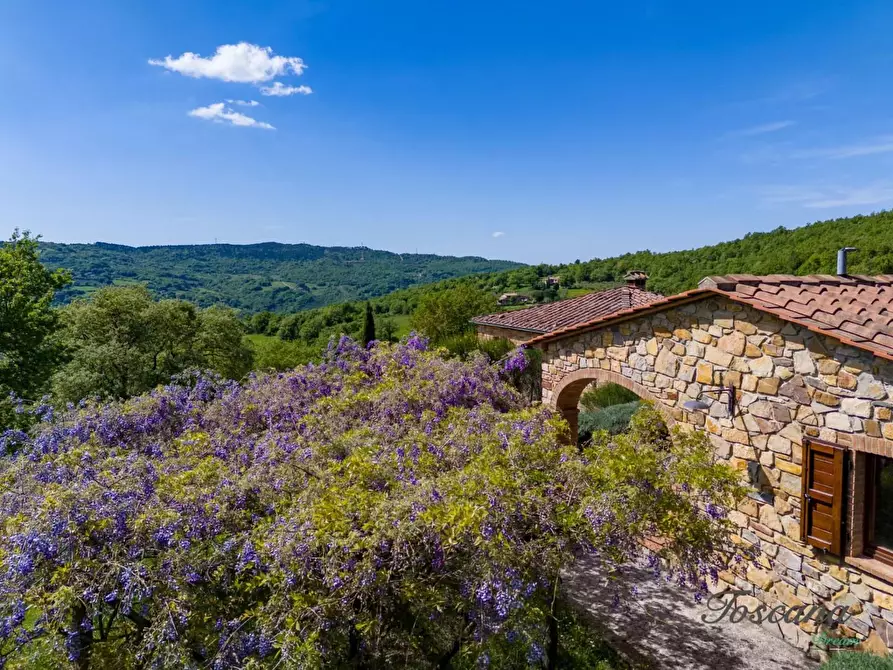 Immagine 20 di Villa in vendita  a Castelnuovo Val Di Cecina