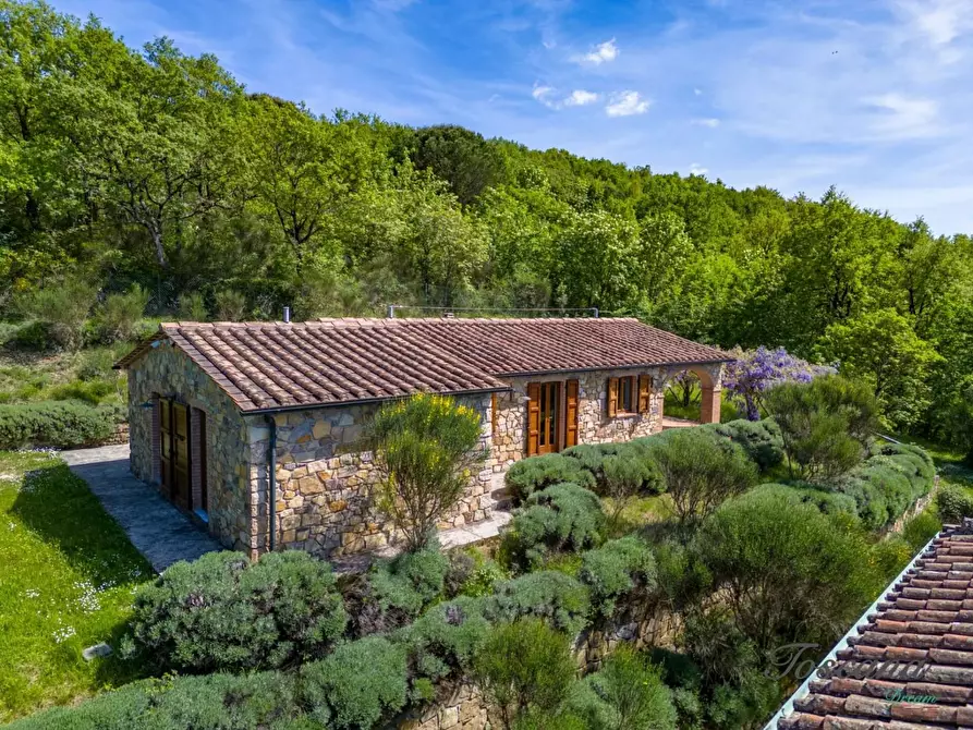 Immagine 15 di Villa in vendita  a Castelnuovo Val Di Cecina