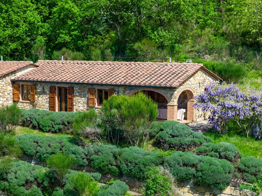 Immagine 16 di Villa in vendita  a Castelnuovo Val Di Cecina