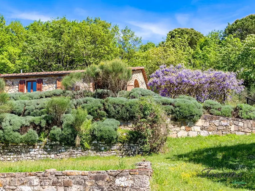 Immagine 17 di Villa in vendita  a Castelnuovo Val Di Cecina