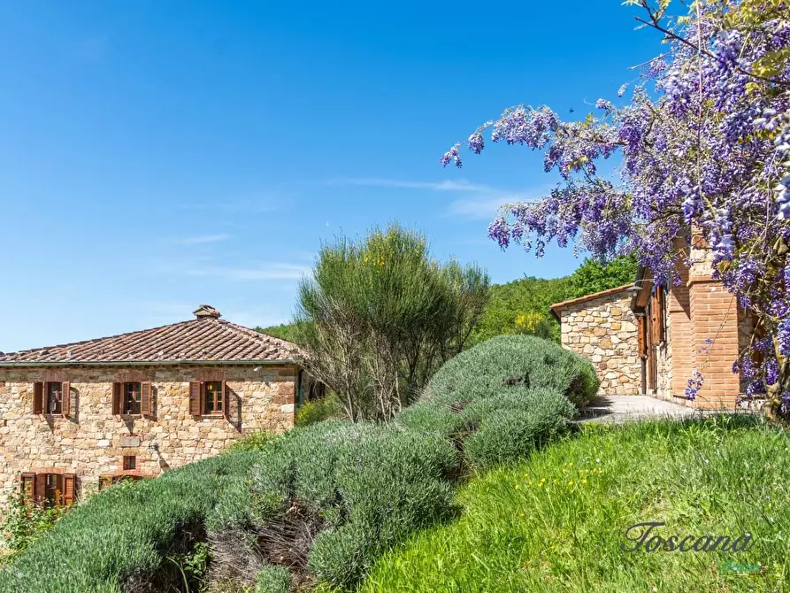 Immagine 18 di Villa in vendita  a Castelnuovo Val Di Cecina