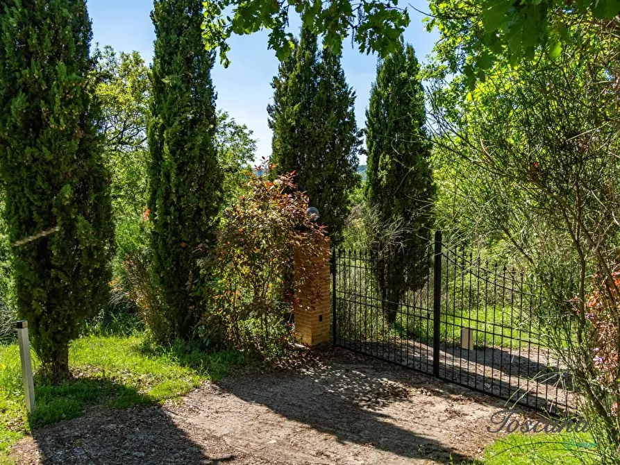 Immagine 74 di Villa in vendita  a Castelnuovo Val Di Cecina