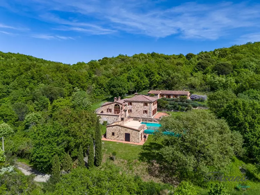 Immagine 3 di Villa in vendita  a Castelnuovo Val Di Cecina