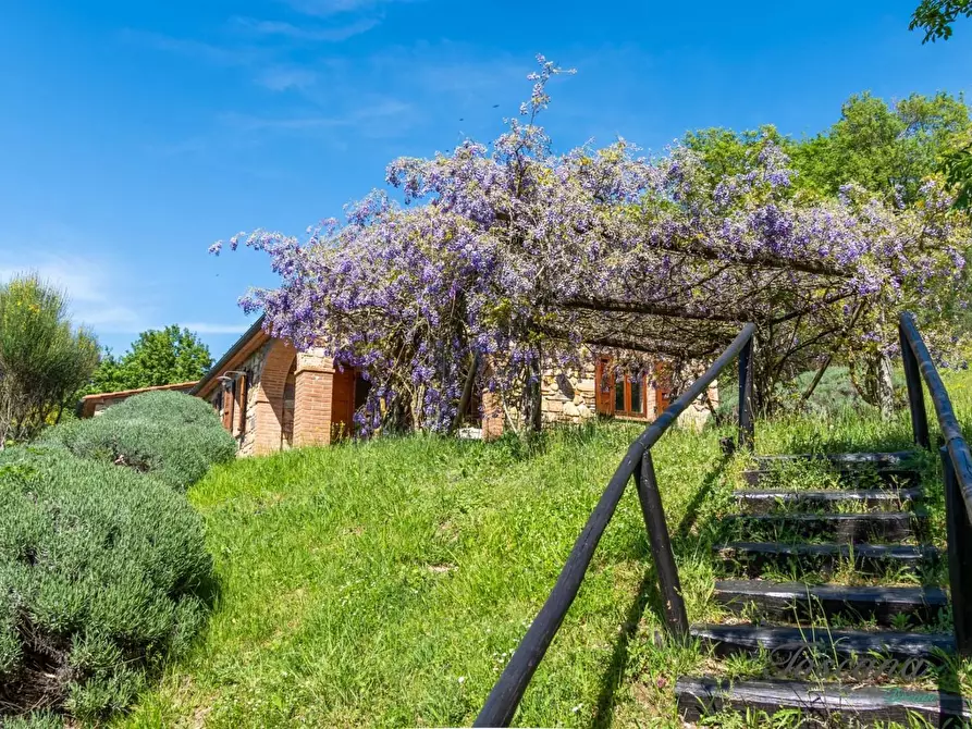 Immagine 55 di Villa in vendita  a Castelnuovo Val Di Cecina