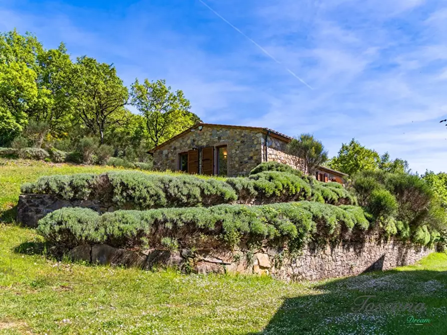 Immagine 19 di Villa in vendita  a Castelnuovo Val Di Cecina