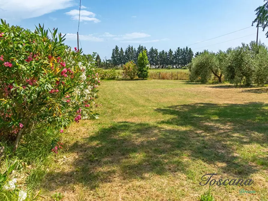 Immagine 66 di Porzione di casa in vendita  a Grosseto