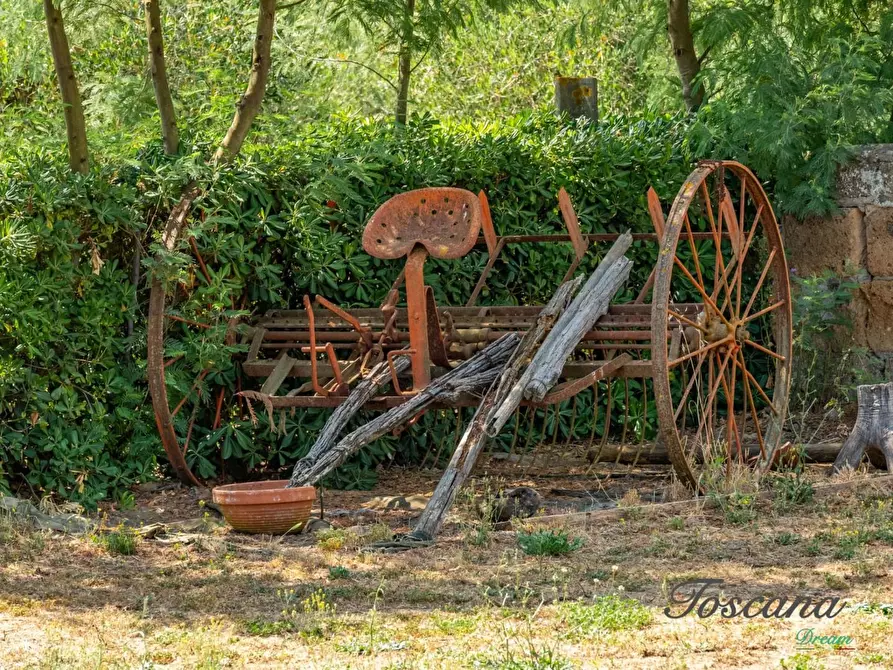 Immagine 70 di Porzione di casa in vendita  a Grosseto