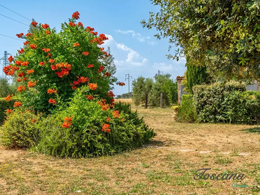 Immagine 67 di Porzione di casa in vendita  a Grosseto