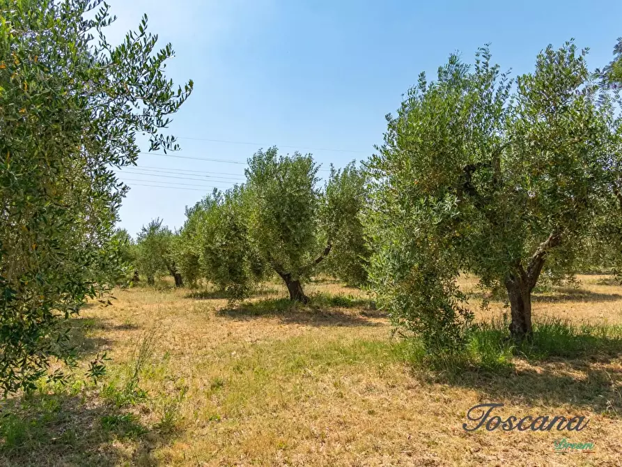 Immagine 64 di Porzione di casa in vendita  a Grosseto