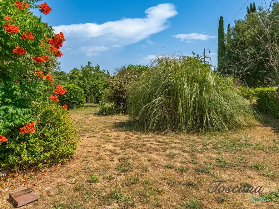 Immagine 58 di Porzione di casa in vendita  a Grosseto