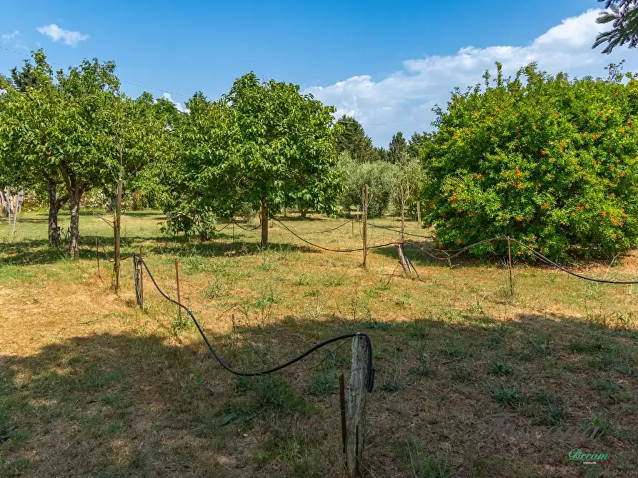 Immagine 63 di Porzione di casa in vendita  a Grosseto
