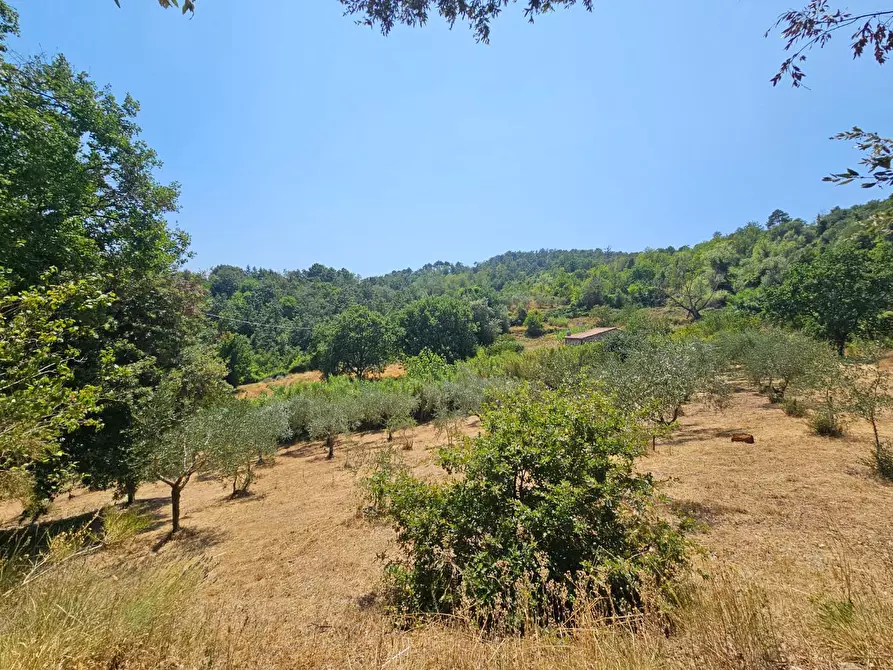 Immagine 11 di Rustico / casale in vendita  a Chianni