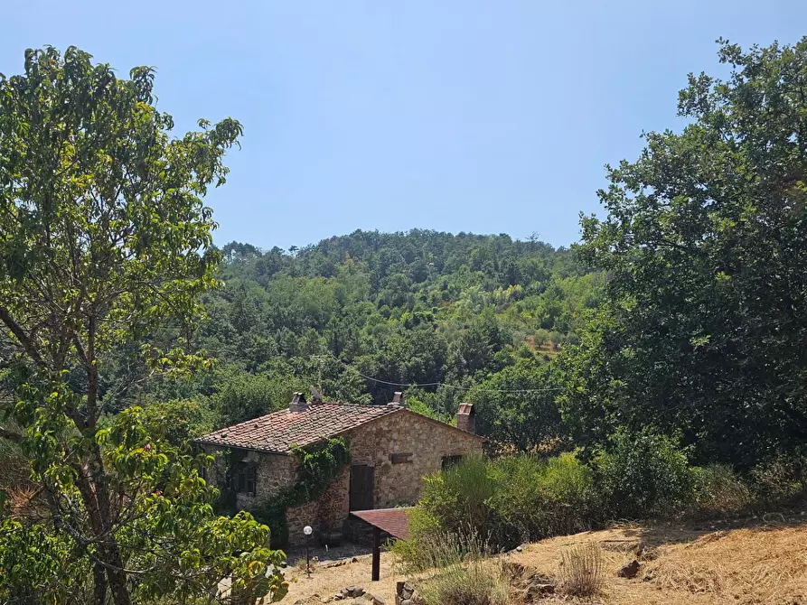 Immagine 16 di Rustico / casale in vendita  a Chianni
