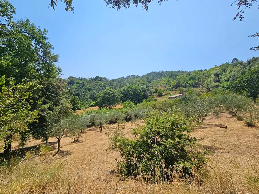 Immagine 10 di Rustico / casale in vendita  a Chianni