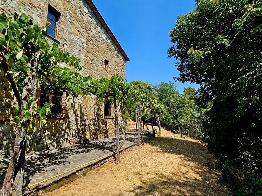Immagine 1 di Rustico / casale in vendita  a Chianni