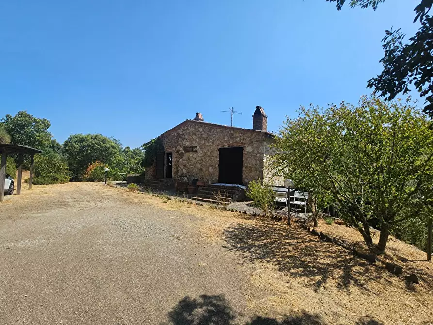 Immagine 8 di Rustico / casale in vendita  a Chianni