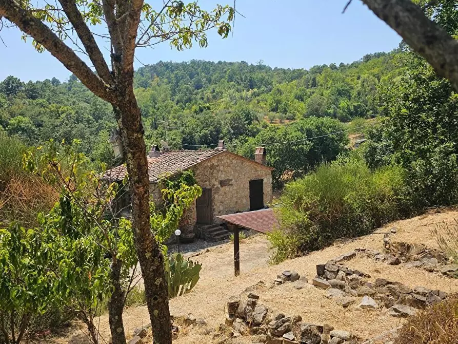 Immagine 14 di Rustico / casale in vendita  a Chianni