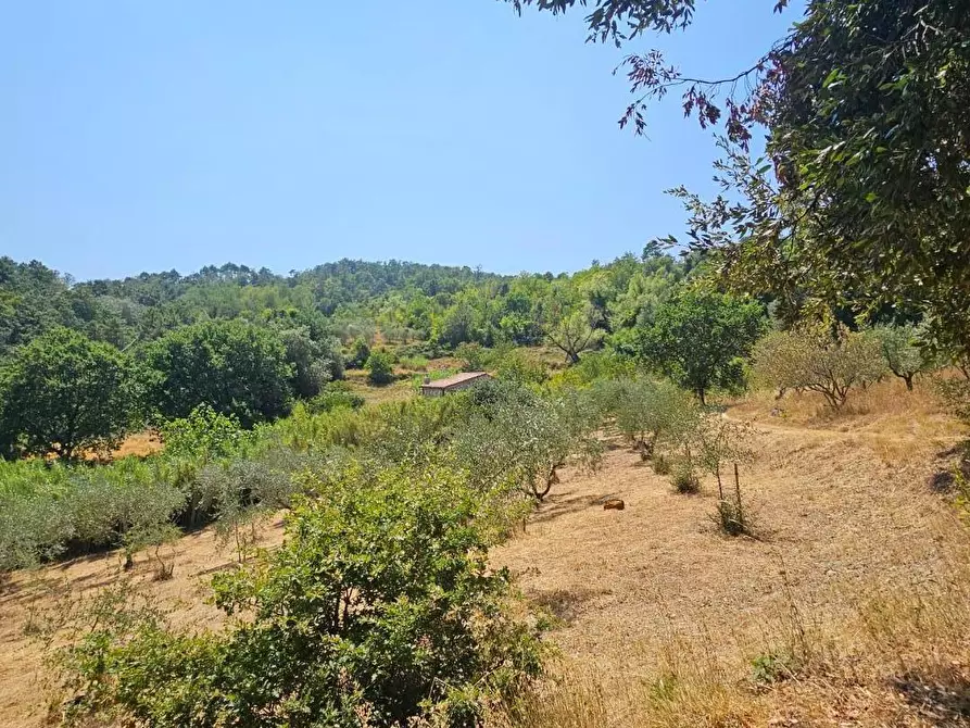 Immagine 12 di Rustico / casale in vendita  a Chianni