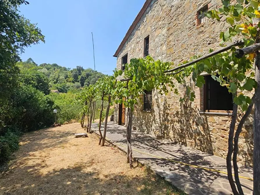 Immagine 3 di Rustico / casale in vendita  a Chianni