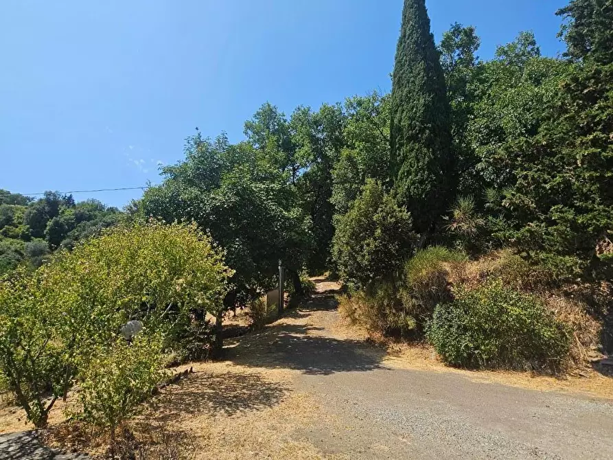 Immagine 7 di Rustico / casale in vendita  a Chianni